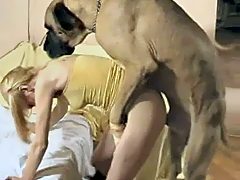 Bilara swallow cum and try fuck with dog
